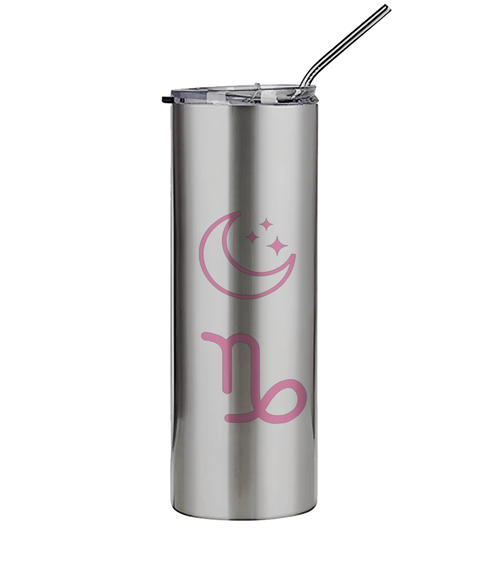 600ml Silver Stainless Steel Tumbler with Straw The Big Three Collection