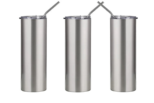 600ml Silver Stainless Steel Tumbler with Straw The Big Three Collection