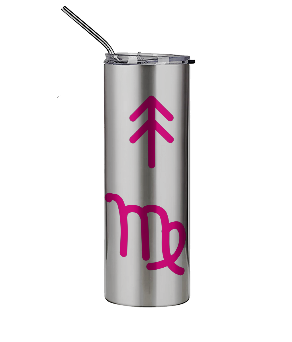 600ml Silver Stainless Steel Tumbler with Straw The Big Three Collection