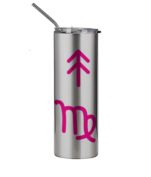 600ml Silver Stainless Steel Tumbler with Straw The Big Three Collection